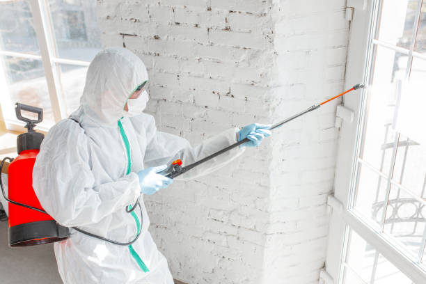 Best Emergency Mold Remediation in Jackson, MS